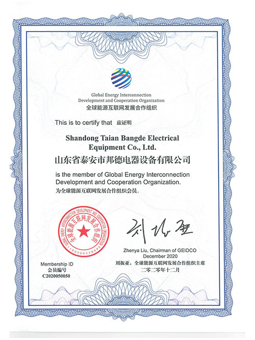 全球能源互联网发展合作组织证书